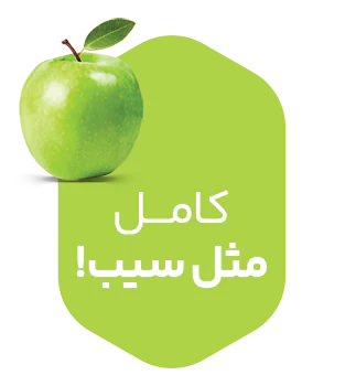 شرکت بوریا، ارائه دهنده نرم افزارهای پوشاک، نساجی و فرش